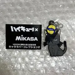 ハイキュー×MIKASA キャララバーコレクション2 クロオネコ