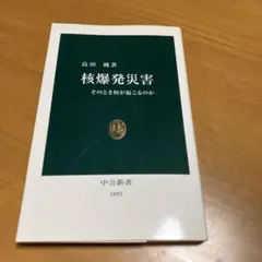 核爆発災害 : そのとき何が起こるのか m35