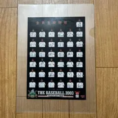 Item thumbnail for item 533c30dc-c673-4906-a381-67aa6a6deddd