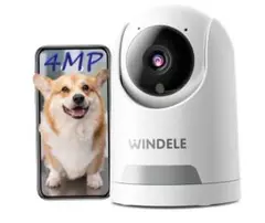 Item thumbnail for item 6368f35b-cb60-4132-8765-de7e47ed7887