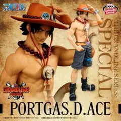 THE GRANDLINE SERIES SPECIAL ポートガス・D・エース