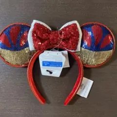 ディズニー まとめ売り カチューシャ バケーションパッケージ