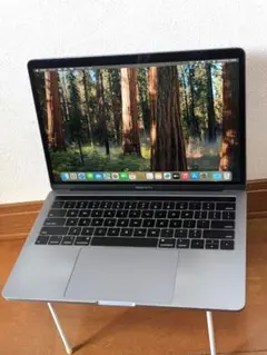 Apple MacBook Pro 2019 13inch 16GB 動作確認済