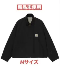 Item thumbnail for item 8610930e-e6d7-4fb3-b498-99a24993e5bc