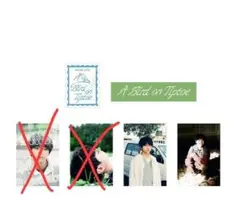 Item thumbnail for item df0fb4e3-5636-43eb-b245-e077398a5831