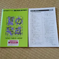 夏の完成　夏期講習テキスト　Perfect Study in Summer 数学