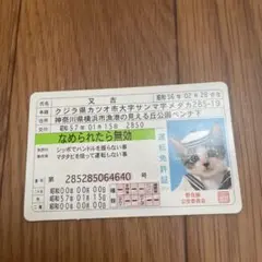 希少　非売品　なめ猫免許証