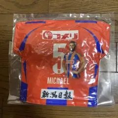 新潟アルビレックス 舞行龍ジェームズ選手