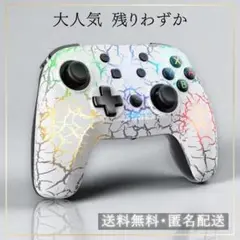 【特価】Switch コントローラー プロコン 有機EL対応 かっこいい新品