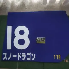 スノードラゴン　スプリンターズS 優勝レプリカ　ゼッケン　オマケ付き
