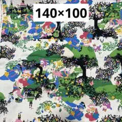 206 キキララ×ホラグチカヨコラボ　オックス生地　140×100