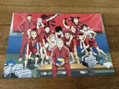 ハイキュー!! ファングッズ チームメンバー