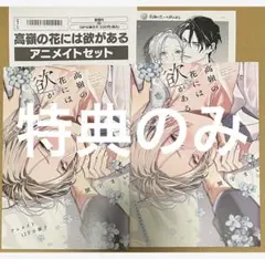 ★特典のみ★高嶺の花には欲がある アニメイト特典3点セット