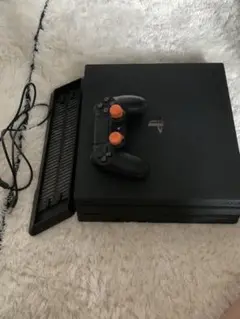 専用