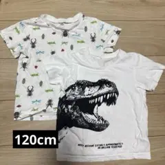 恐竜と昆虫柄のTシャツ2枚セット　120 半袖