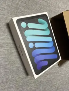 iPad mini6 スペースグレイ 64GB