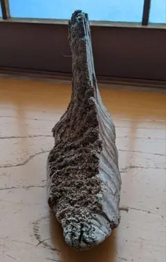 Item thumbnail for item 9200c196-74e7-4971-9893-a9beac1e8f1e