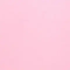 肉ちゃん専用