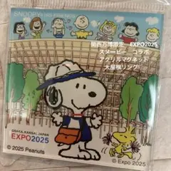 レア　関西万博限定　スヌーピー　コラボ　アクリルマグネット　匿名♪