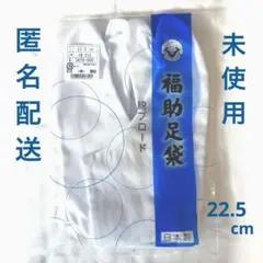 Item thumbnail for item 5db31a56-ef0f-49bc-9619-ff2472af8f92