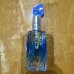 Item thumbnail for item eed93809-1fdc-466b-9f05-292de4228851