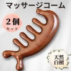 Item thumbnail for item a54a3362-43bc-4e39-b737-482e93cf9e35