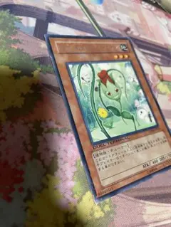 遊戯王　ナチュル・ローズウィップ