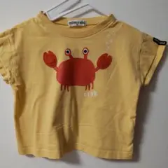 半袖Tシャツ