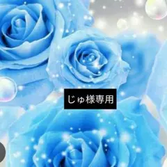 専用