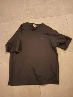 L.Bean ビーンズバックカタディンTシャツ ブラック L