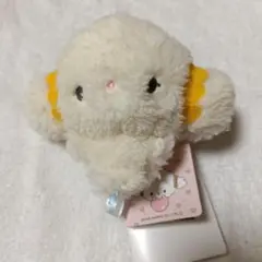 2025年最新】こぎみゅんぬいぐるみの人気アイテム - メルカリ