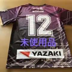 藤枝myfcサッカーシャツ