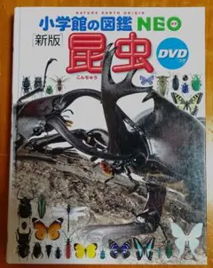 小学館の図鑑NEO [新版]昆虫 DVDつき