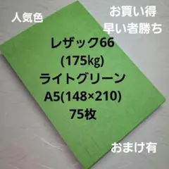 特殊紙レザック66(175㎏)ライトグリーン、A5、78枚、人気カラー商品❗