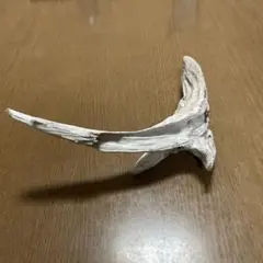 Item thumbnail for item 74e40a99-c651-4a68-b3a2-ab5b691a7bb4