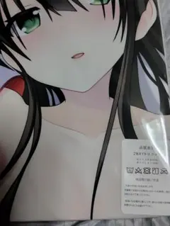 [非売品/微開封]戦国恋姫 織田久遠信長 添い寝クッション Amazon.co.jp: 戦国恋姫 織田久遠信長 複製色紙 VA : ホビー