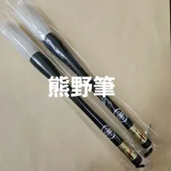 Item thumbnail for item 1d9c64f2-68cc-47ef-a422-7e0c72fe04a9