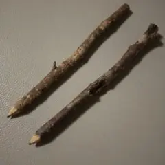 Item thumbnail for item 17aeb265-11d9-45aa-9e53-a561eca2f144