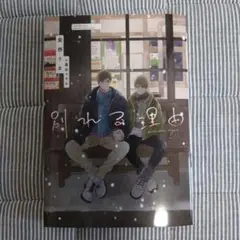 BL小説　別れる理由　安西リカ　　　未読品
