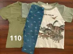 3着セット 恐竜 Tシャツ・パンツ 110サイズ