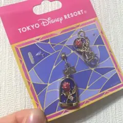 TOKYO Disney RESORT 美女と野獣 イヤーカフ&イヤリング