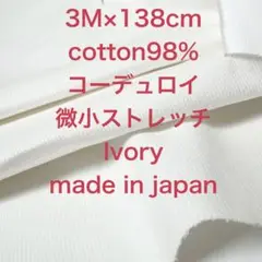 Item thumbnail for item 66b8f05c-b238-4229-9b5c-afd58f678155