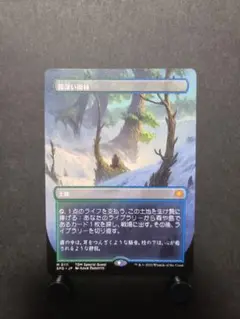 mtg 霧深い雨林 ボーダーレス版 日本語