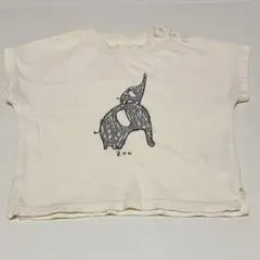 マルミエーレ[t.] ラクガキ プリント 半袖Tシャツ　象　80cm
