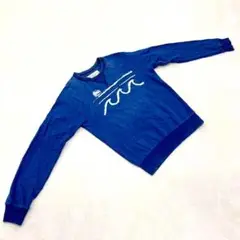 American Eagle Outfitters スウェットシャツ 青 長袖