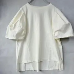白T 半袖Tシャツ 2M 日本製 上質 パフスリーブ ヘムライン テールカット