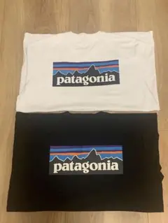 patagonia P-6 ロゴ ロング Tシャツ 白黒セット