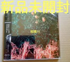 BUCK-TICK CATALOGUE2005 バンドスコア BS BUCK-TICK/CATALOGUE 2005 (BAND SCORE) |本 | 通販 | Amazon