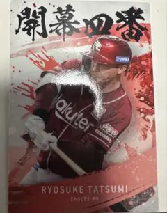 【辰巳涼介】開幕4番　プロ野球チップス