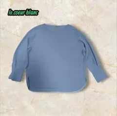 le.coeur blanc ブルー系 長袖ブラウス
